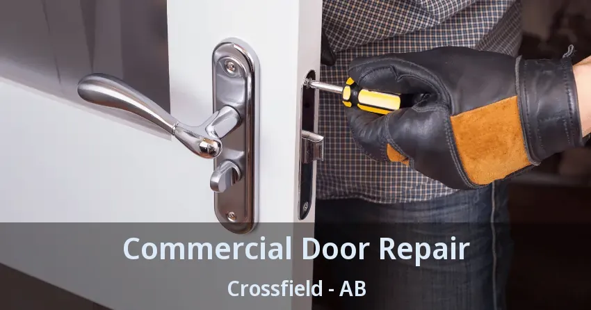 Commercial Door Repair Crossfield - AB Commercial Door Repair Crossfield - AB