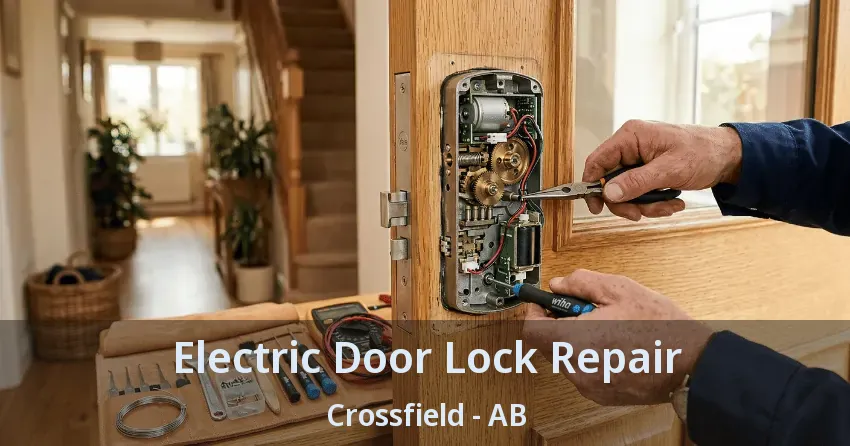 Electric Door Lock Repair Crossfield - AB