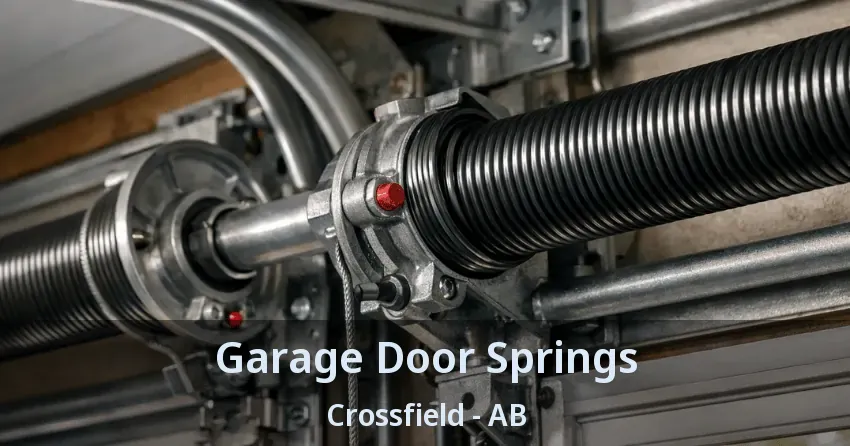 Garage Door Springs Crossfield - AB