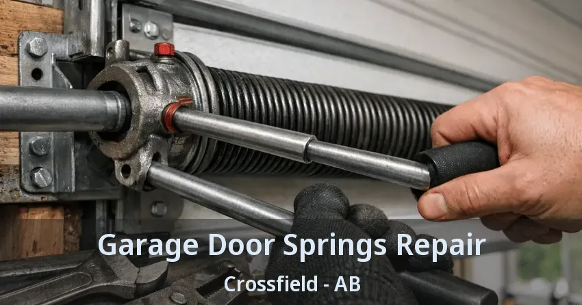 Garage Door Springs Repair Crossfield - AB