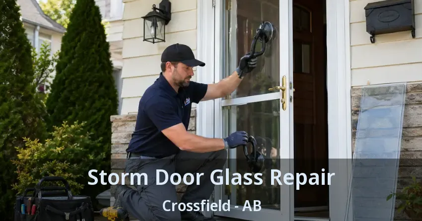 Storm Door Glass Repair Crossfield - AB Storm Door Glass Repair Crossfield - AB