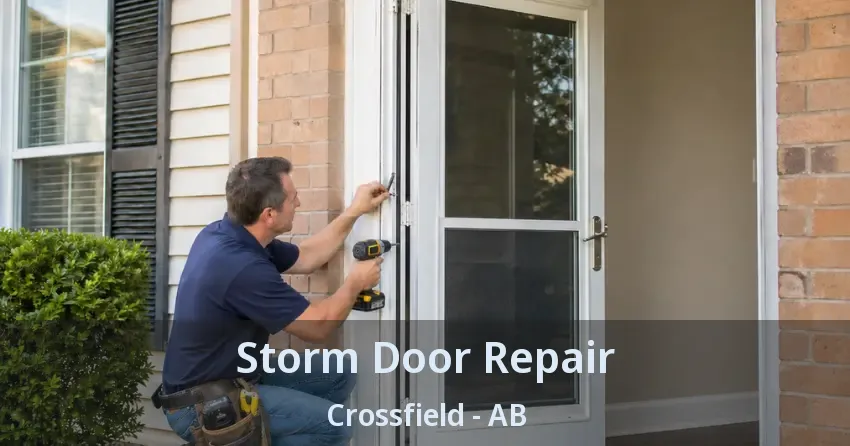 Storm Door Repair Crossfield - AB